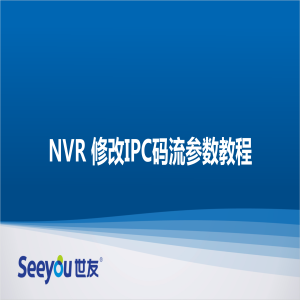 DS视讯 NT NVR修改IPC码流参数教程
