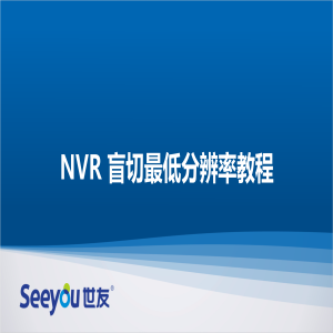 DS视讯 NT NVR盲切最低分辨率教程