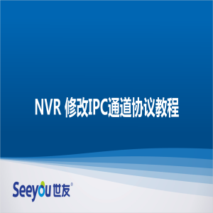 DS视讯 NT NVR修改通道协议教程