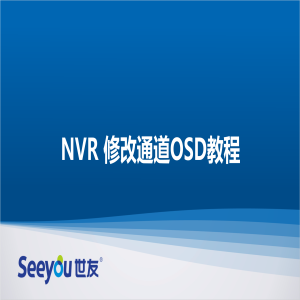DS视讯 NT NVR修改通道OSD教程