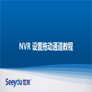 DS视讯 NT NVR设置拖动通道教程