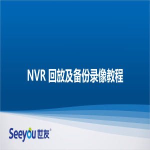 DS视讯 NT NVR回放及备份录像教程