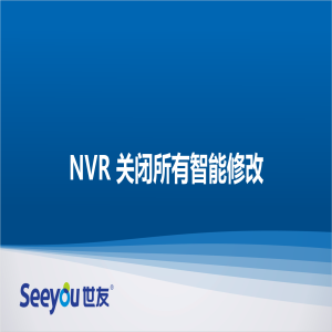 DS视讯 NT NVR关闭所有智能修改
