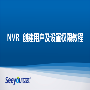 DS视讯 NT NVR创建用户及设置权限教程