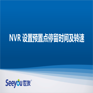 DS视讯 NT NVR设置预置点停留时间及转速