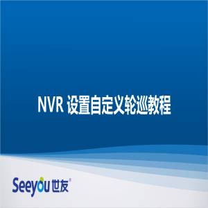 DS视讯 NT NVR设置自定义轮巡教程