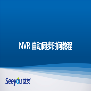 DS视讯 NT NVR自动同步时间教程