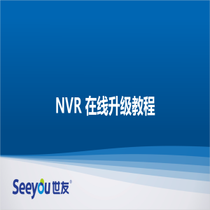DS视讯NT NVR在线升级教程