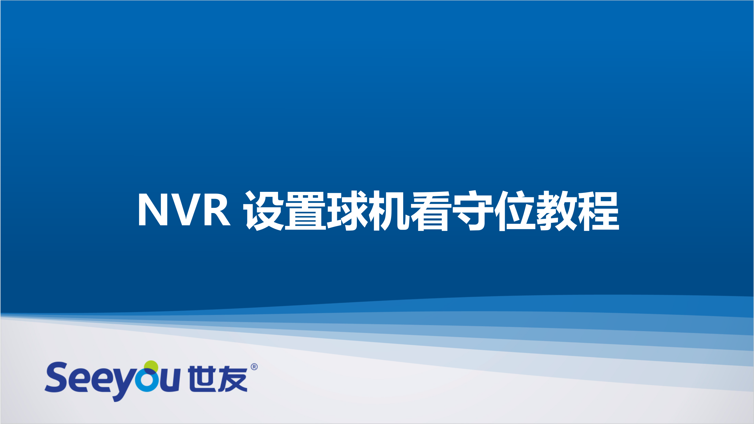 DS视讯NT NVR设置球机看守位教程